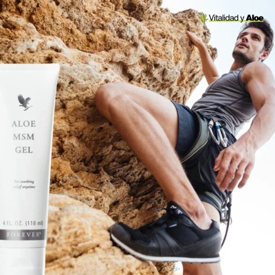 Aloe MSM Gel Aloe MSM Gel